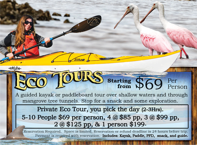 Eco Tour Paddles 1