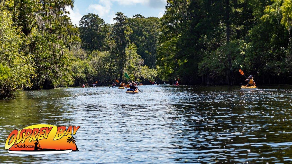 Read more about the article Hillsborough River Paddle Trip Aug 2022     A Cypress wilderness adventure.