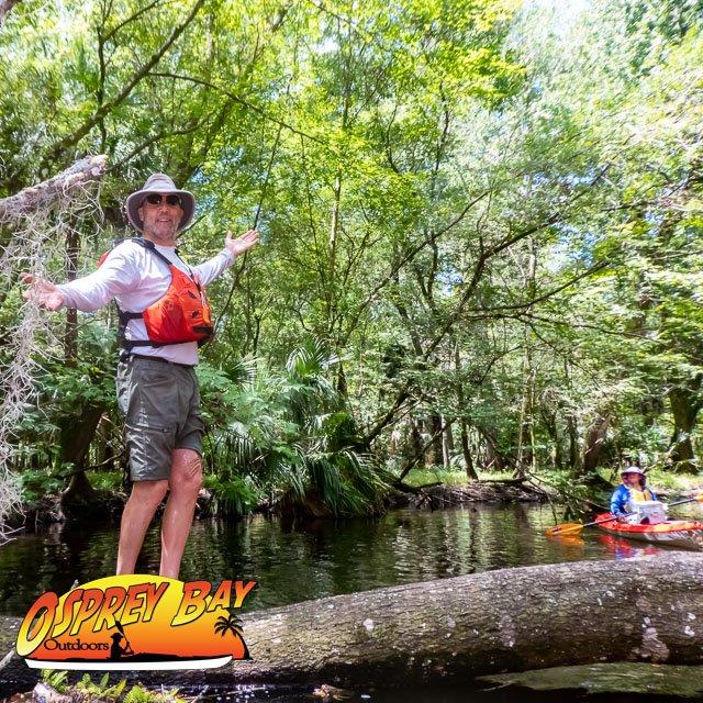 Hillsborough River Paddle Trip Aug 2022 A Cypress wilderness adventure. 1