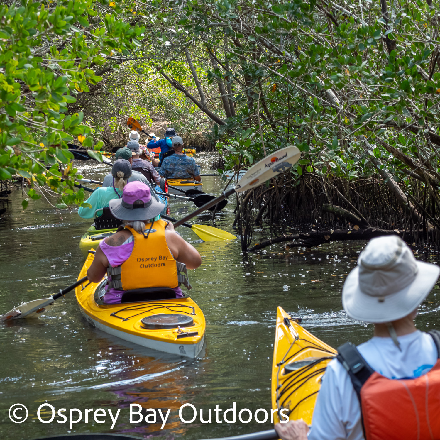 You are currently viewing Clam Bayou Paddling Trip April 2023