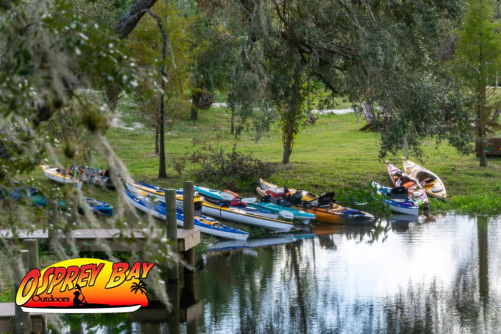 Braden River Paddling Trip Nov 2024 1 Braden River Paddling Trip Nov 2024 Kayaks on the Braden River at the Linger Lodge.