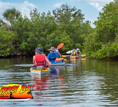 Paddle Through Clam Bayou’s Mangrove Tunnels to Gulfport – Dolphins, Graffiti Boats & Waterfront Picnics with Osprey Bay Outdoors