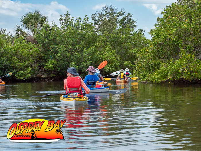 Home 2 Home Paddle Through Clam Bayou’s Mangrove Tunnels to Gulfport – Dolphins, Graffiti Boats & Waterfront Picnics with Osprey Bay Outdoors