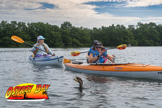 Fort Desoto Paddle Trip 2025 2 Fort Desoto Paddle Trip 2025 Ft despot paddle trip 2025