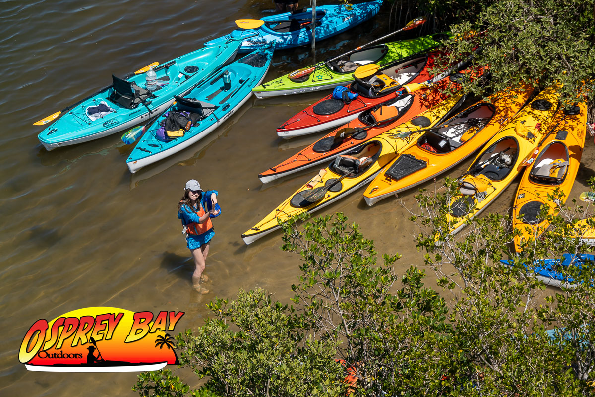 Home 2 Home Robinson Preserve 2026. looking down on Delaney and the Kayaks on the beach.